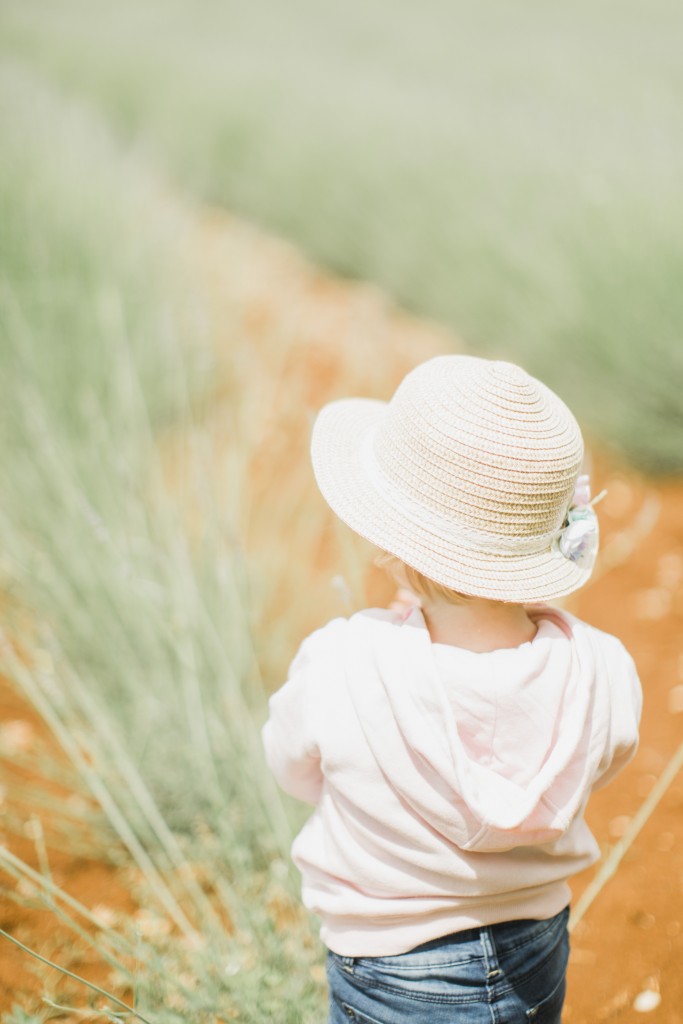 12.06.2016,JSOblikovanje_371